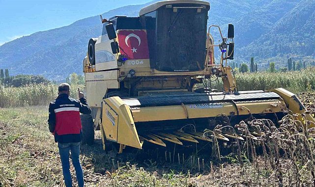 Simav'da Yüzde 75 hibeli ayçiçeğinde hasat kontrolü
