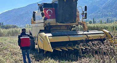 Simav'da Yüzde 75 hibeli ayçiçeğinde hasat kontrolü