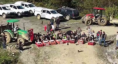 Sinop'ta 550 sülün doğaya salındı