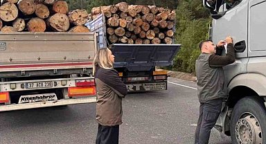 Sinop'ta orman ekipleri yasa dışı faaliyetlere karşı teyakkuzda