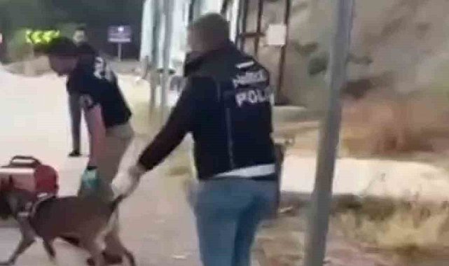 Sinop'ta uyuşturucu operasyonu: 3 tutuklama