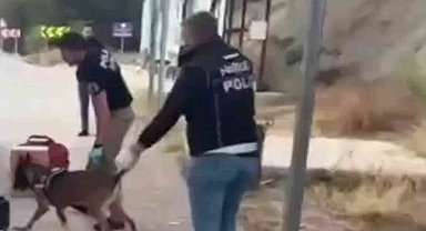 Sinop'ta uyuşturucu operasyonu: 3 tutuklama