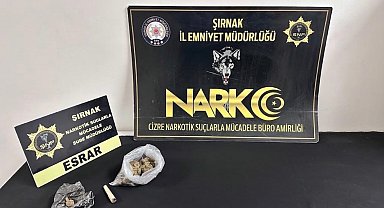 Şırnak'ta emniyet ekiplerinden asayiş, kaçakçılık ve narkotik operasyonu: 17 tutuklama