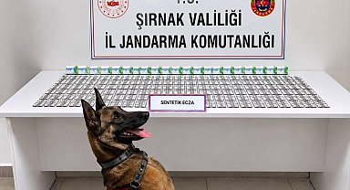 Şırnak'ta jandarmadan uyuşturucu ve aranan şahıslara operasyon: 12 tutuklama