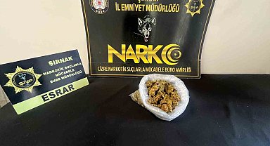 Şırnak'ta narkotik ve asayiş operasyonları: 104 şüpheli yakalandı, 9'u tutuklandı