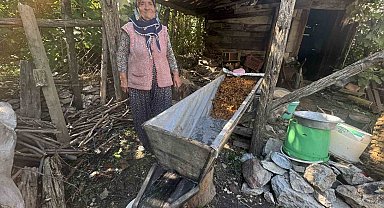 Sırrı meşe külünde saklı