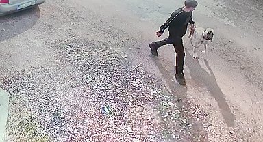 Siverek'te Kangal köpeğin çalınma anı kamerada