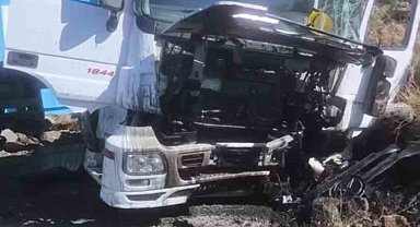 Siverek'te kontrolden çıkan tırın sürücüsü yaralandı