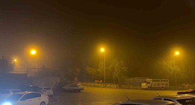Sivrihisar'da sağanak ve sis hayatı olumsuz etkiledi