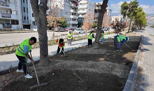 Söke devam eden projelerle yenileniyor
