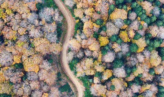 Sonbaharın renkleri rotayı değiştirdi: 2 bin metreye çıktılar