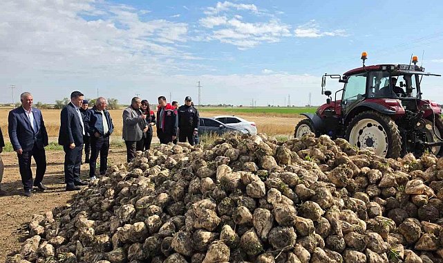 Sultanhanı'nda şeker pancarı hasadı başladı