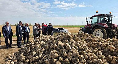Sultanhanı'nda şeker pancarı hasadı başladı