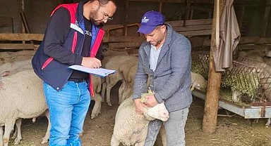 Sürdürülebilir Koyun Projesi çerçevesinde işletme denetimleri sürüyor
