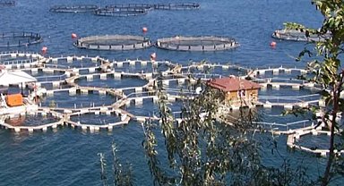 Tarım ve gıda sektörüne 1,2 milyar liralık hibe
