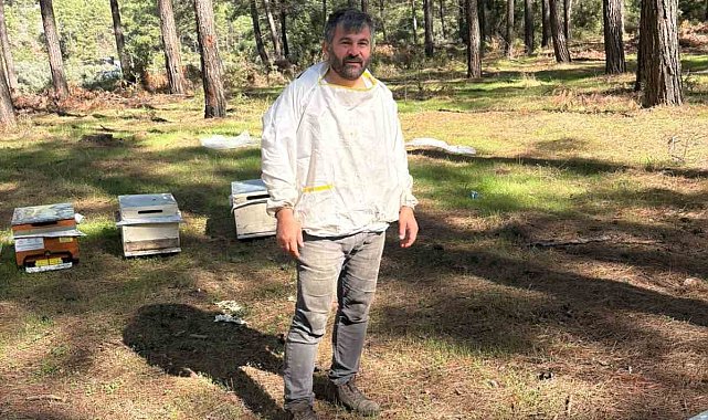 Tecrübeli arıcıdan bal tavsiyeleri: "Mevzuata uygun her bal, en kaliteli bal değildir"