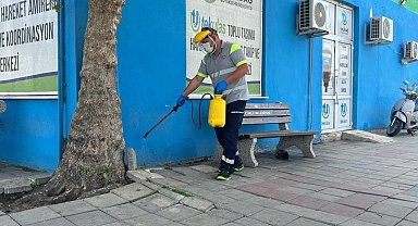 Tekirdağ'daki otogarlarda haşere ve kemirgenlere karşı önlem