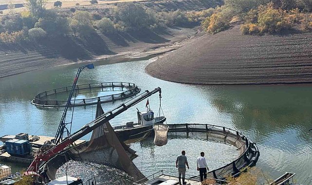 Tercan Baraj Gölü'nde su ürünleri üretimi büyüyor