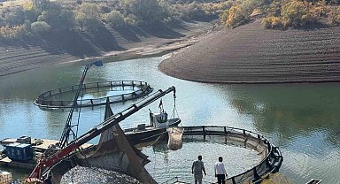Tercan Baraj Gölü'nde su ürünleri üretimi büyüyor