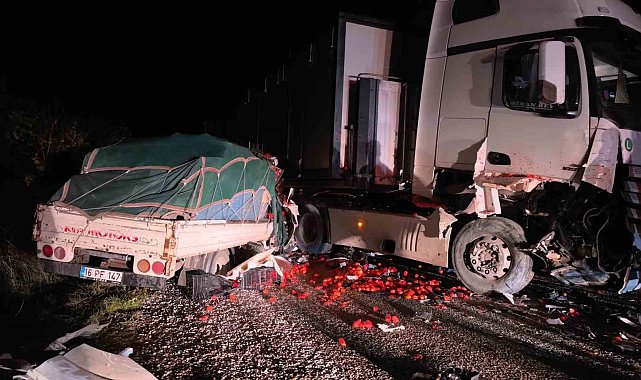 Tır ile kamyonet kafa kafaya çarpıştı: 2 ağır yaralı