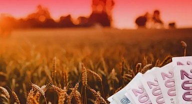 TMO'dan üreticilere 4,2 milyar liralık ürün bedeli ödemesi