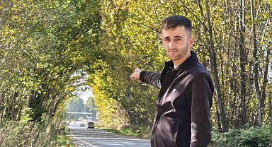 Tokat'ta kavak ağaçlarından sonbahar tüneli