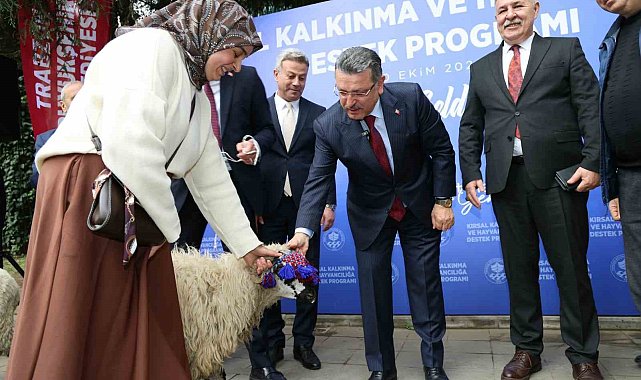 Trabzon'da hayvancılığa destek sürüyor