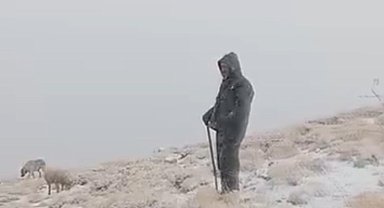 Tunceli'de yüksek kesimlere kar yağdı: Koyunlar karlar altında otladı