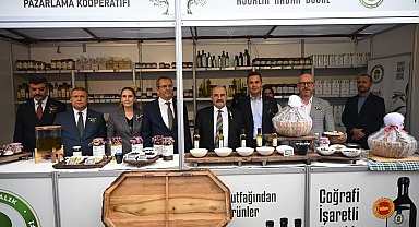 Uluslararası Ayvalık Zeytin Hasat ve Turizm Festivali başladı