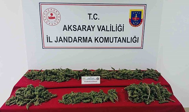 Uyuşturucu imal ve ticaretine jandarma darbesi: 3 tutuklama