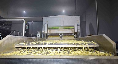 Vali Aktaş patates üretimi tesisini gezdi
