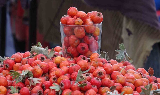 Van dağlarının doğal şifa kaynağı alıç, tezgahlardaki yerini aldı