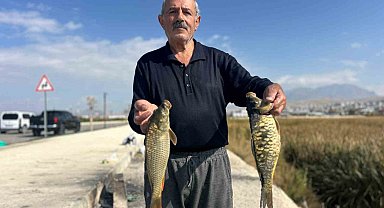 Van'da amatör balıkçıların aynalı sazan mesaisi