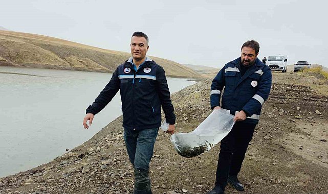 Van'ın su ürünleri sektöründen ekonomiye 25 milyon dolarlık katkı