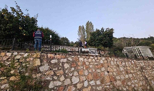 Villada yarım milyonluk paneller çalındı