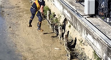 Yalova'da itfaiye ekipleri derede mahsur kalan iki kediyi kurtardı