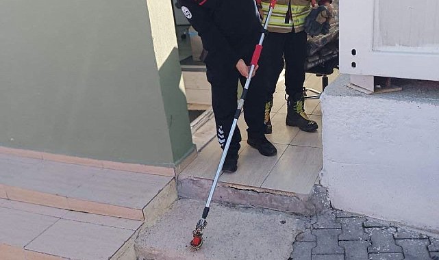 Yayladağı'nda yerleşim yerinde görülen yılan doğaya bırakıldı