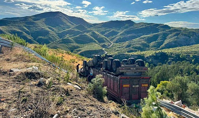 Yem yüklü tır şarampole yuvarlandı: 1 ölü