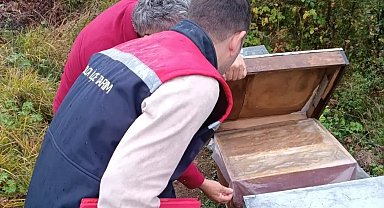 Yığılca'da ekipler sahada tek tek sayıyor