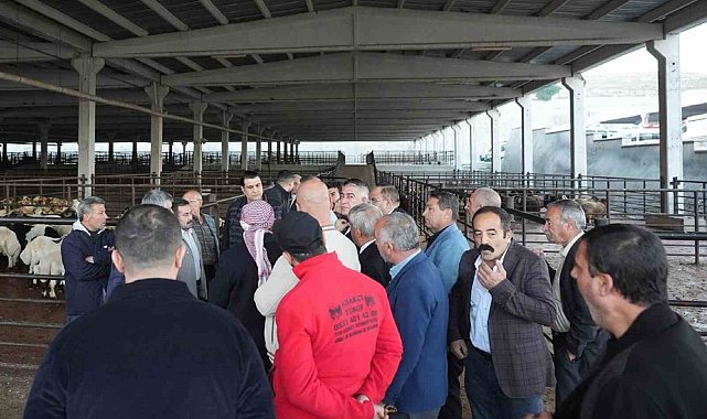Yılmaz'dan et müjdesi