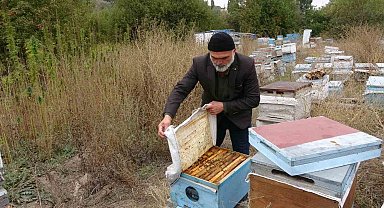 Yozgat'ta ezber bozan hasat: İlaçsız arıcılığın şifresi kenevirde bulundu