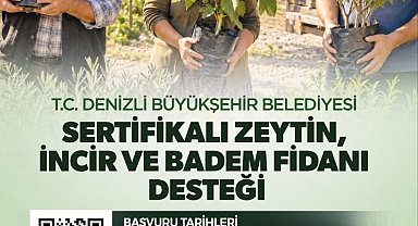 Zeytin, incir ve badem fidanı desteği için başvurular devam ediyor