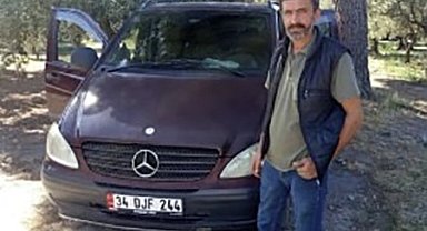 Zeytin toplarken arı soktu hayatını kaybetti