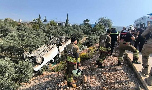Zeytinliğe uçan kamyonetin sürücüsü yaralandı